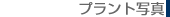 �v�����g�ʐ^